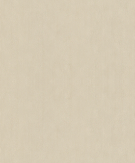 Vliesová tapeta na zeď Rasch 521450, kolekce Concrete, 0,53 x 10,05 m
