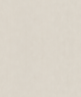 Vliesová tapeta na zeď Rasch 521474, kolekce Concrete, 0,53 x 10,05 m